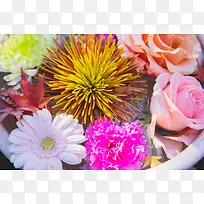 六色菊花  重阳