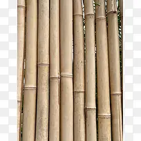 竹子，围栏，栅栏，圆竹