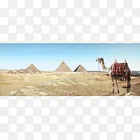 沙漠和骆驼摄影素材