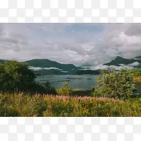 海上的无边草木世界