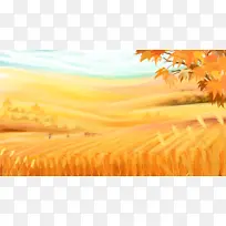 秋日金色的麦田