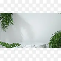背景，植物，展台，简约