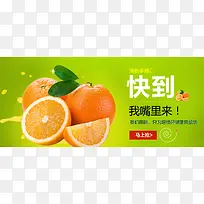 水果标签 促销推广 清新雅致 橙子