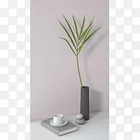 3D场景 背景  空间感 植物 花瓶