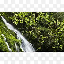 山间流下来的溪水
