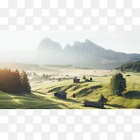 草地,背景,png,素材