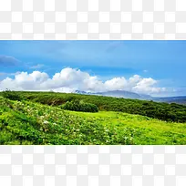草地,背景,png,素材