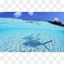 风景,素材,背景,PNG