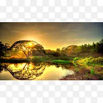 草地,背景,png,素材