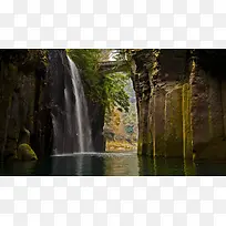 草地,背景,png,素材