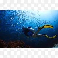 海底，鱼群，礁石，潜水员