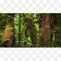 风景,背景,png,素材