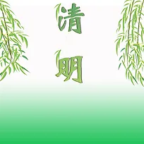 绿色 清明节柳树