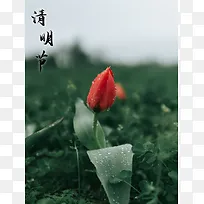 清明节 缅怀故人