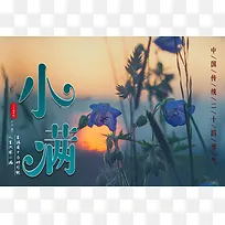 小满节气海报