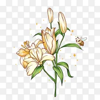 淡黄色百合花卉手绘儿童插画素材