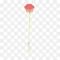 一枝粉玫瑰花