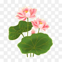 立夏国潮金线噪点风夏日荷花