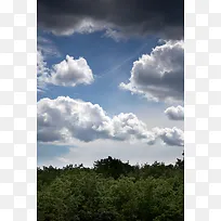 树木上的夏日晴空