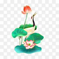 手绘夏至荷叶仙鹤场景插画