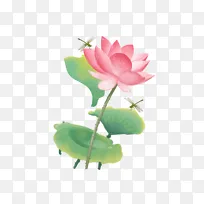 手绘卡通蜻蜓荷叶花朵花朵花瓣