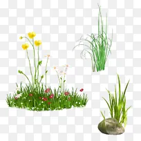 草地草坪绿草